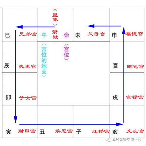 紫微斗數12宮位